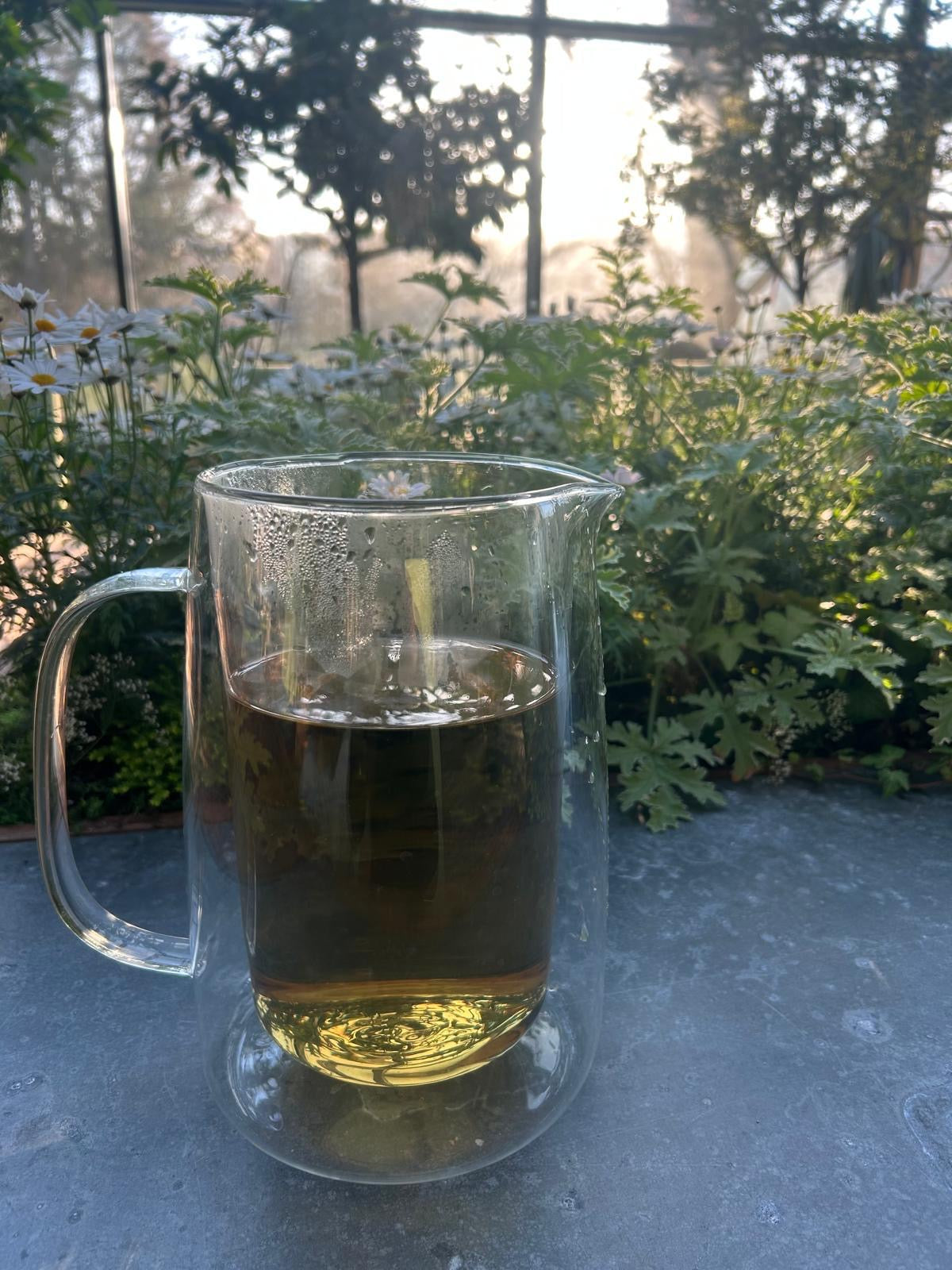 A calming cup of herbal tea outdoors