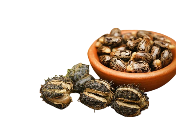Organic castor oil