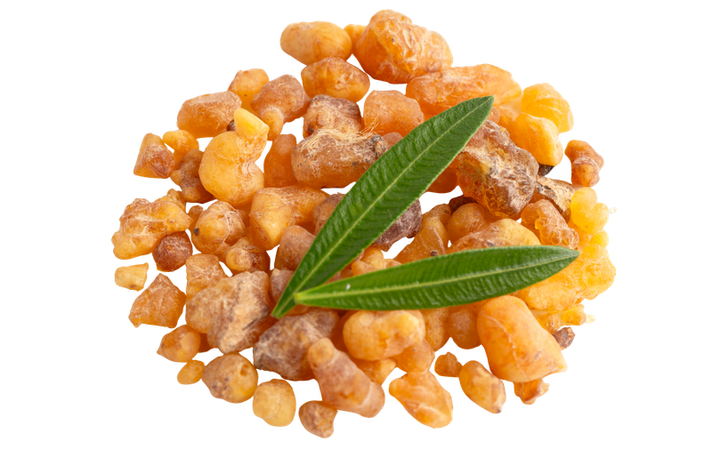 Frankincense ingredient