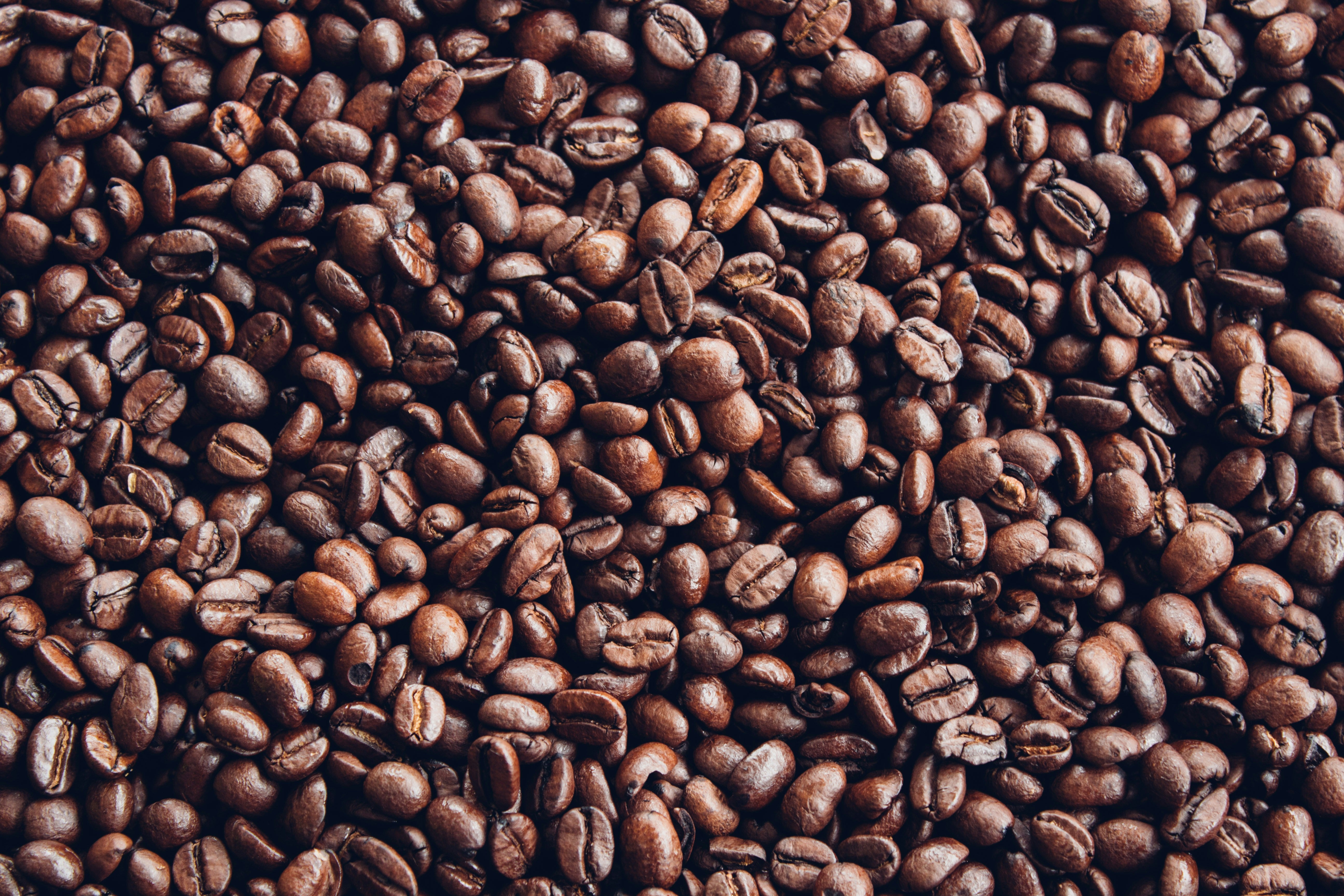Greek Coffee grounds